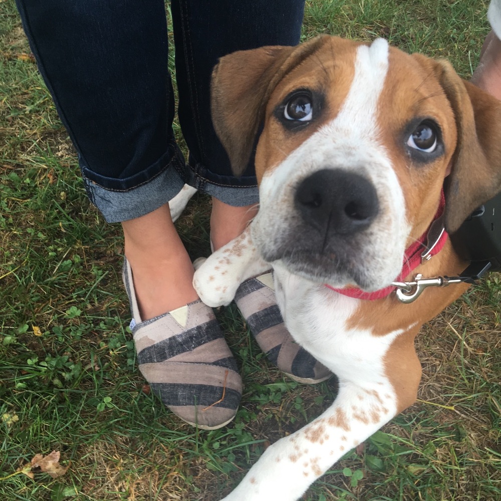 Meet your Posher, Crystal